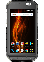 Cat S31