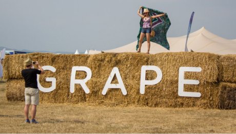 záber z festivalu Grape