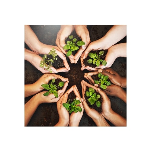 ruky v kruhu držiace hlinu a rastlinu