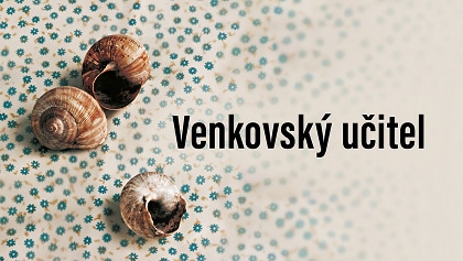 Venkovský učitel