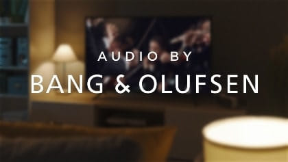 nápis Audio by Bang & Olufsen