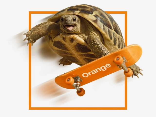 korytnačka na skateboarde