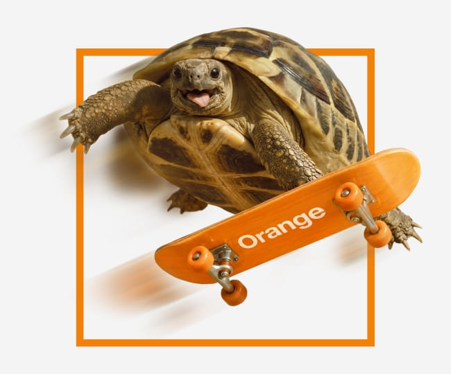 korytnačka na skateboarde